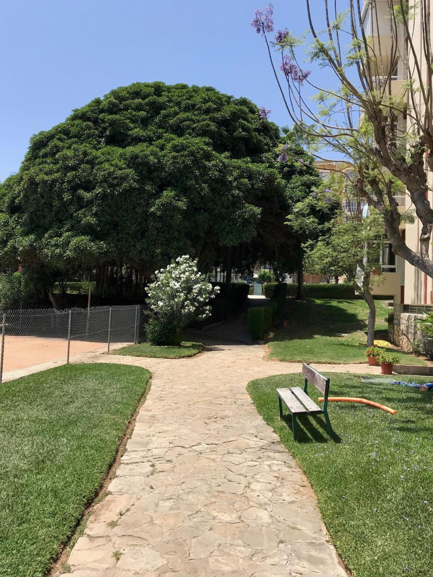Estudio Gamonal Benalmádena Dış mekan fotoğraf